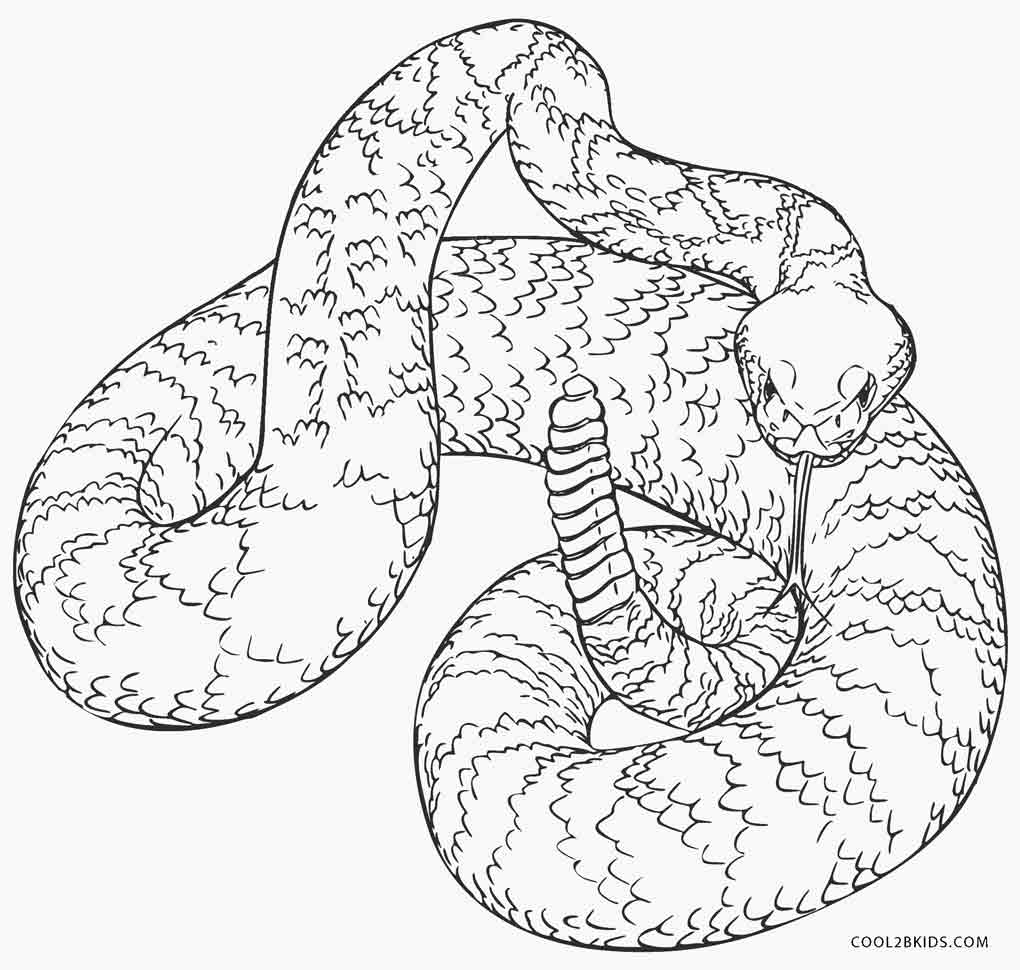 Free Printable Coloring Pages Of Snakes Printable Templates Free Printable Coloring Pages Of Snakes Printable Templates