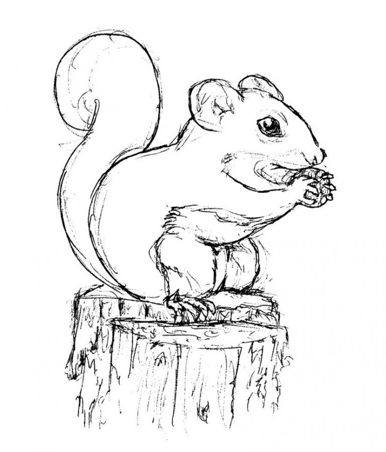 Free Printable Coloring Pages Of Squirrels Printable Word Searches Free Printable Coloring Pages Of Squirrels Printable Word Searches