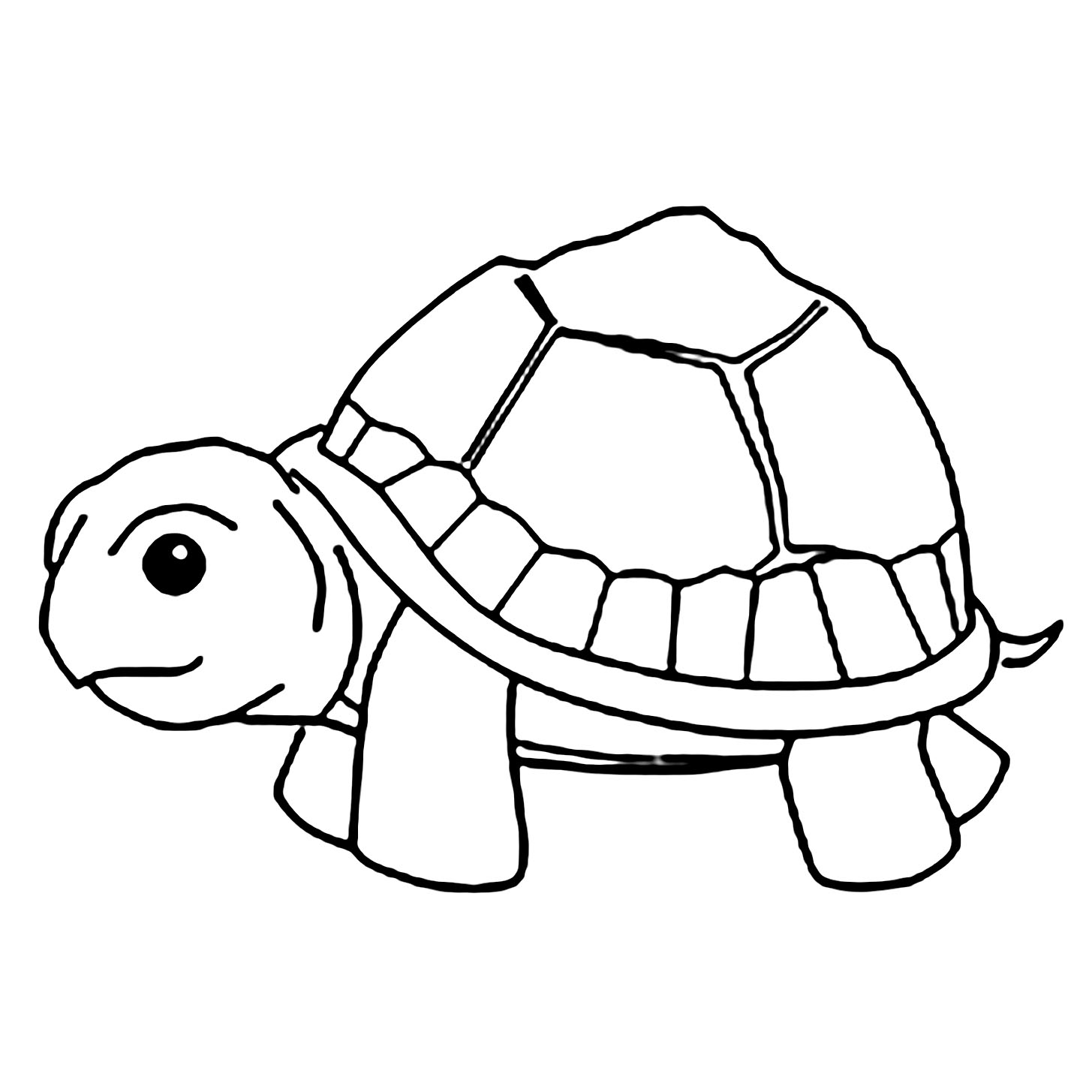 Free Printable Coloring Pages Of Turtles Printable Word Searches