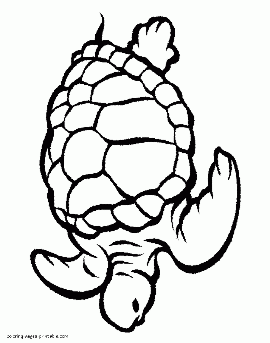 Free Printable Coloring Pages Sea Animals At Viimaddisonblog Blog Free Printable Coloring Pages Sea Animals At Viimaddisonblog Blog