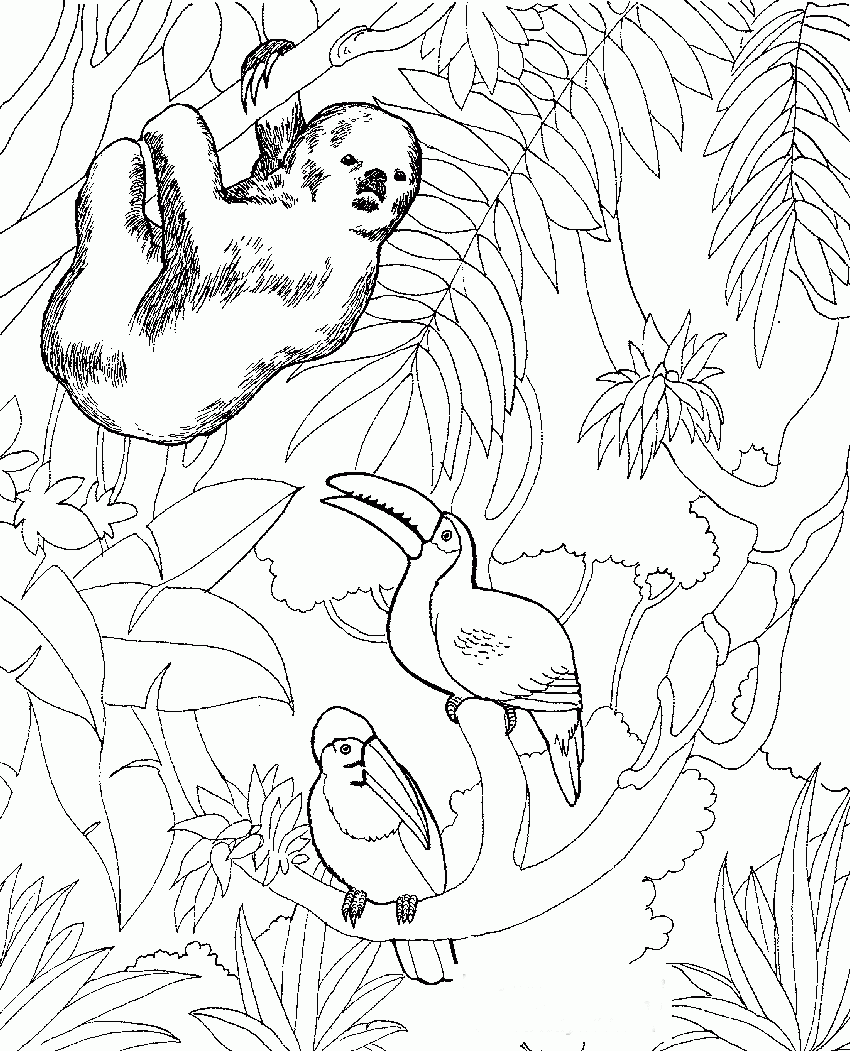 Free Printable Coloring Pages Zoo Animals Printable Word Searches Free Printable Coloring Pages Zoo Animals Printable Word Searches