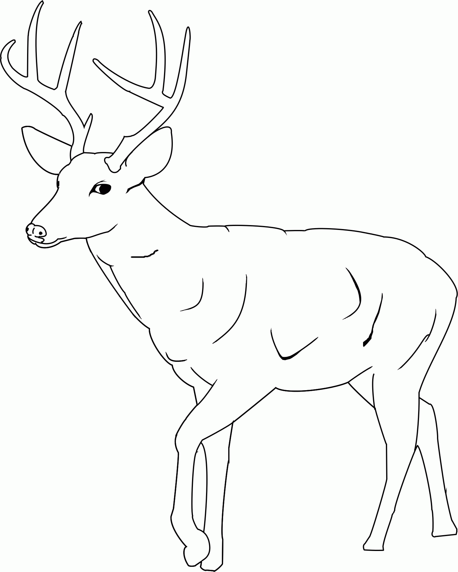Free Printable Deer Coloring Pages Free Printable Deer Coloring Pages