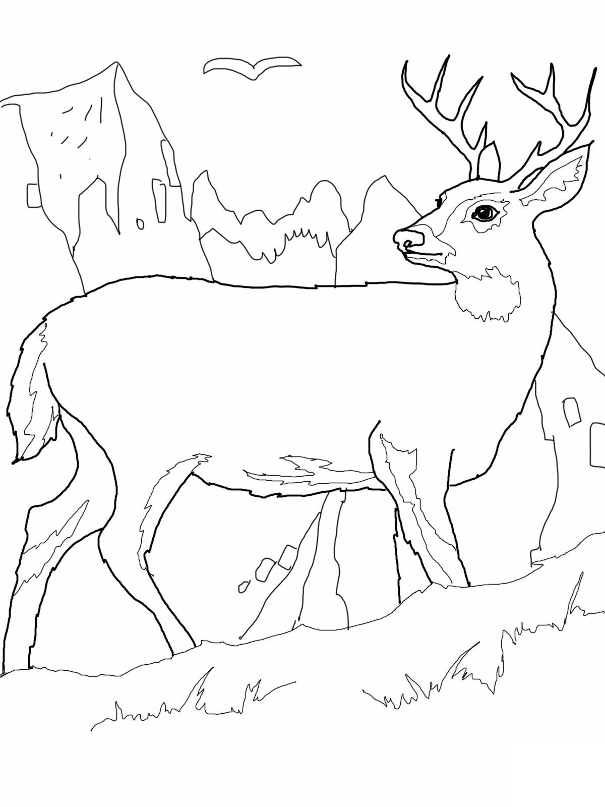 Printable Deer Coloring Pages Printable Deer Coloring Pages