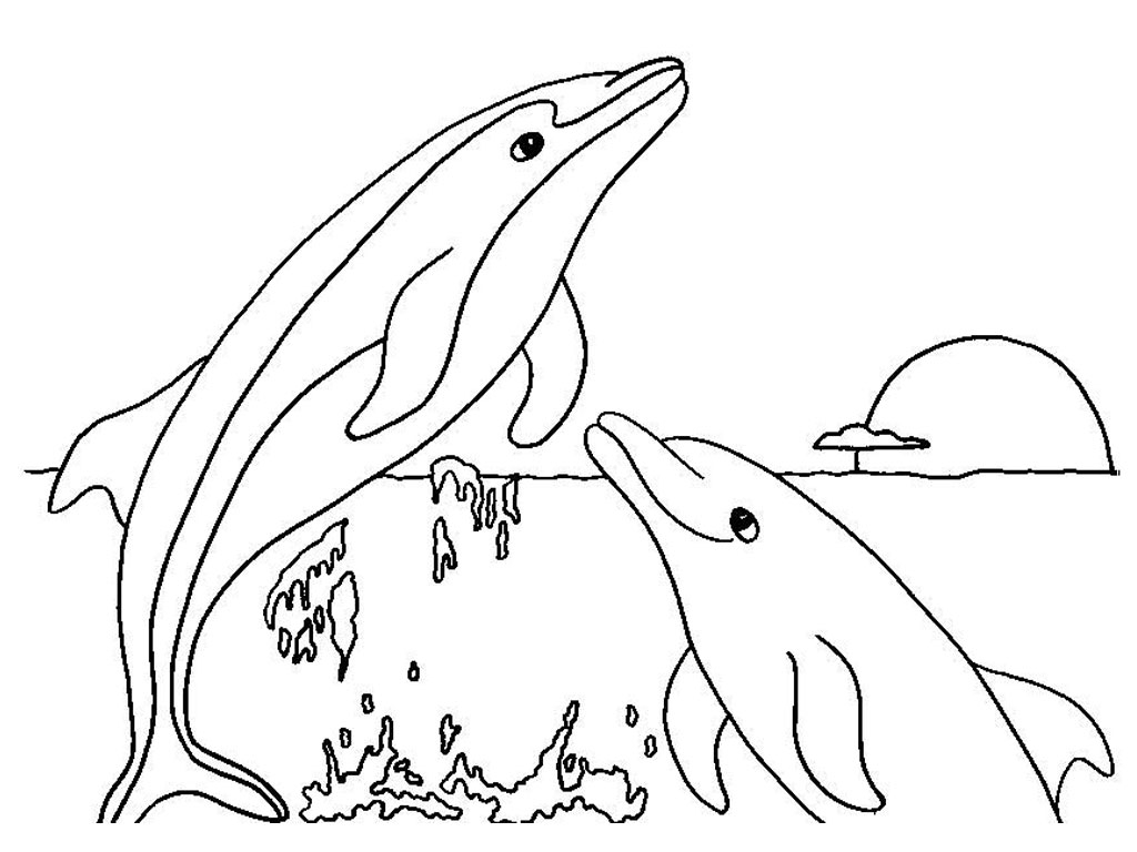 Free Printable Dolphin Coloring Pages For Kids Free Printable Dolphin Coloring Pages For Kids
