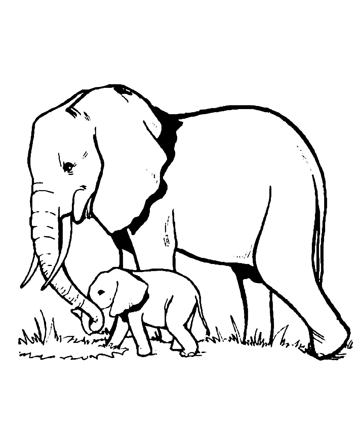 Free Printable Elephant Coloring Pages Free Printable Elephant Coloring Pages
