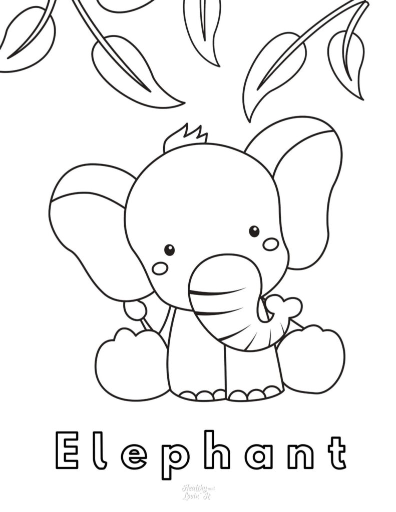 Free Printable Elephant Coloring Pages Easy Elephant Pictures To Color Free Printable Elephant Coloring Pages Easy Elephant Pictures To Color