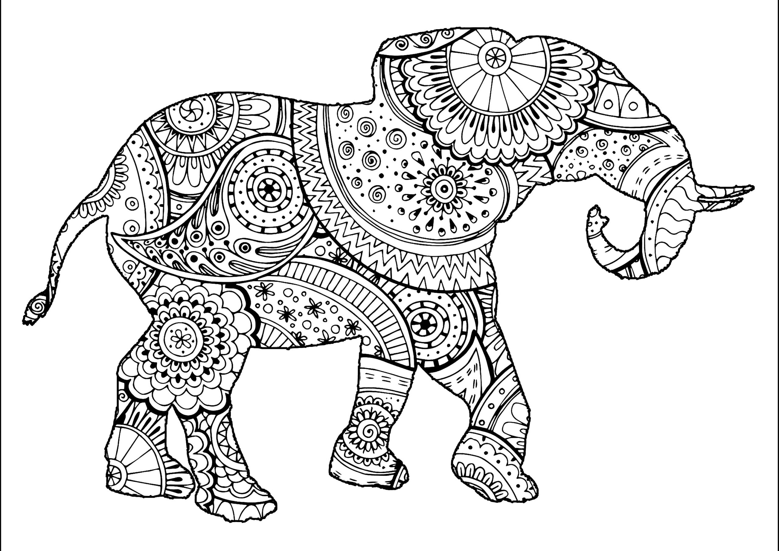 Free Printable Elephant Coloring Pages For Adults Free Coloring Sheet Free Printable Elephant Coloring Pages For Adults Free Coloring Sheet