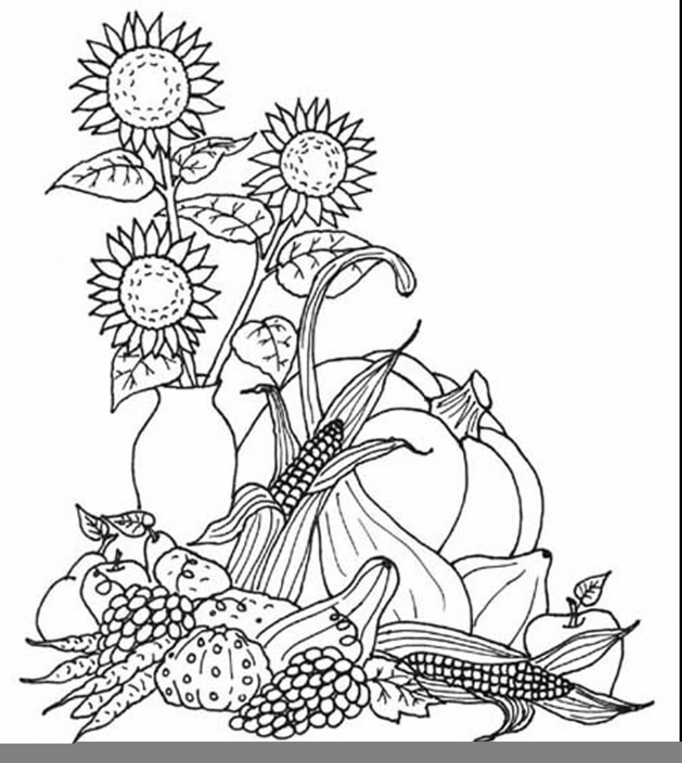 Harvest Printable Coloring Pages Harvest Printable Coloring Pages