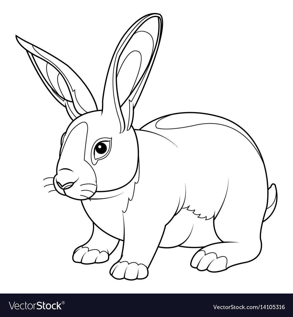 Free Printable Forest Rabbit Coloring Page Rabbit Col Vrogue Co Free Printable Forest Rabbit Coloring Page Rabbit Col Vrogue Co