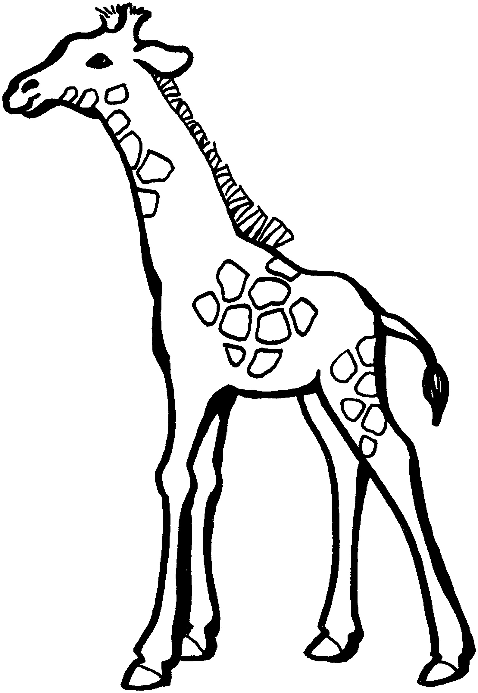 Free Printable Giraffe Coloring Pages For Kids Free Printable Giraffe Coloring Pages For Kids
