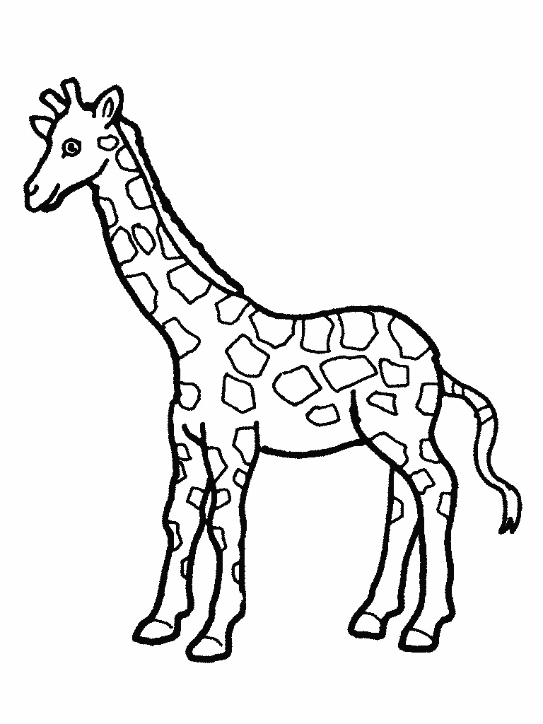 Free Printable Giraffe Coloring Pages For Kids Free Printable Giraffe Coloring Pages For Kids