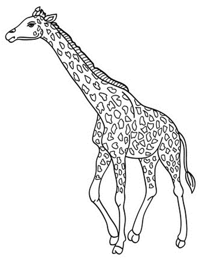 Free Printable Giraffe Coloring Pages For Kids