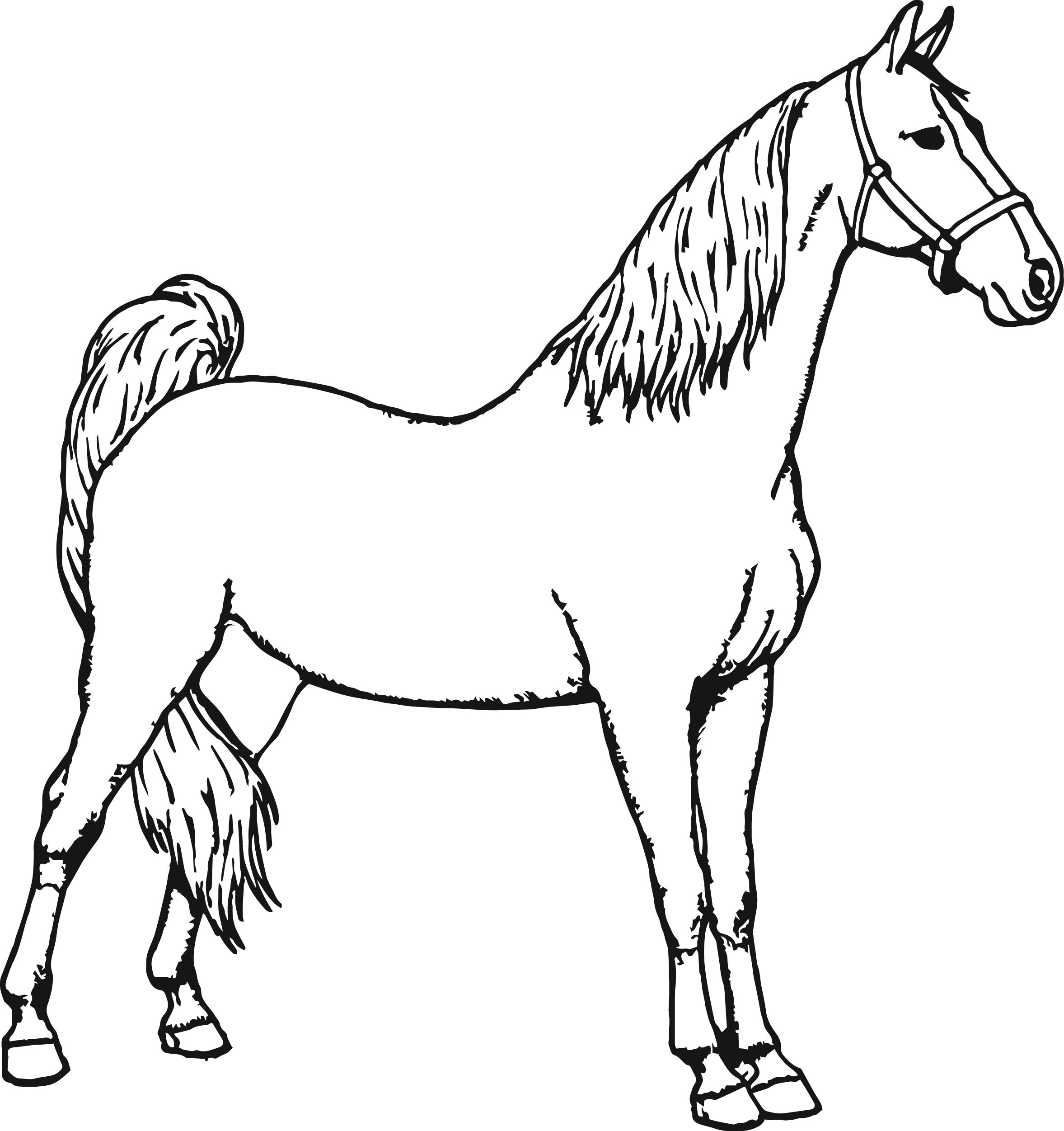 Free Printable Horse Coloring Pages At GetColorings Free Free Printable Horse Coloring Pages At GetColorings Free