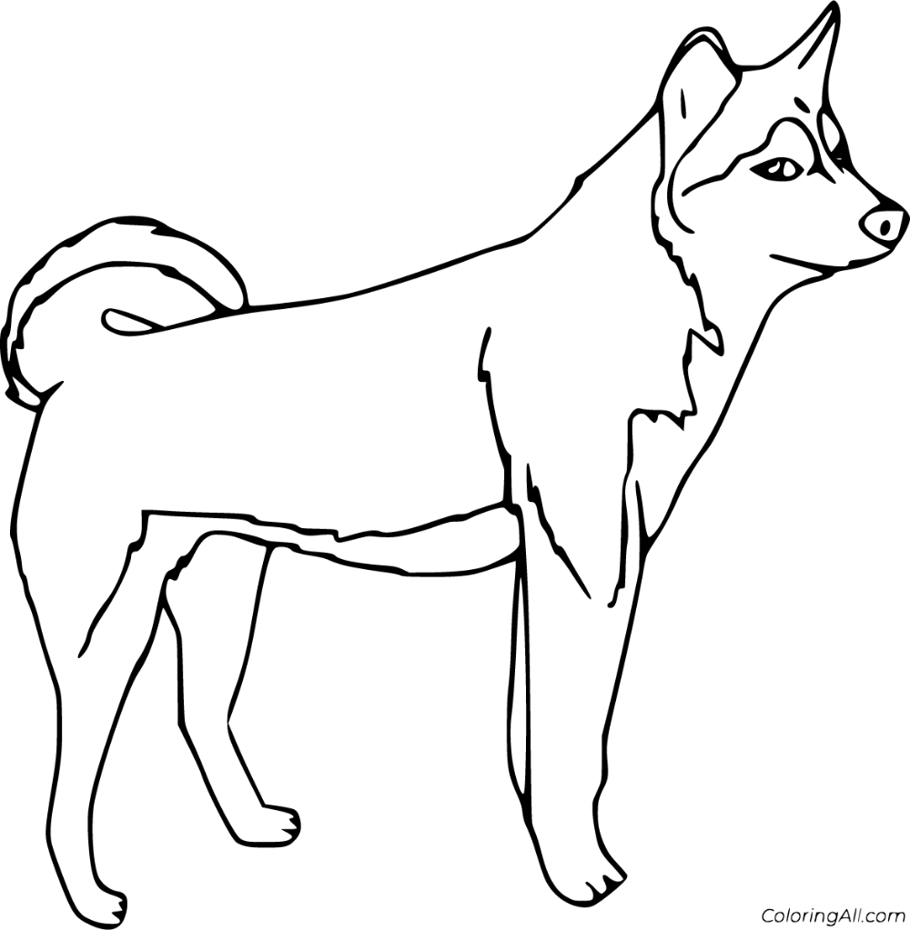 Free Printable Husky Coloring Pages Free Printable Husky Coloring Pages