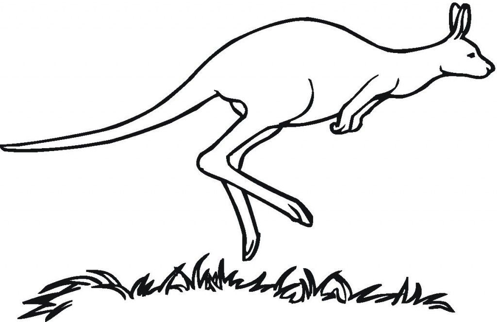 Free Printable Kangaroo Coloring Pages For Kids Penguin Coloring Pages Free Printable Kangaroo Coloring Pages For Kids Penguin Coloring Pages