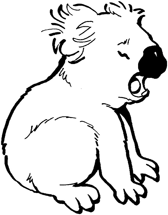 Free Printable Koala Coloring Pages For Kids Free Printable Koala Coloring Pages For Kids