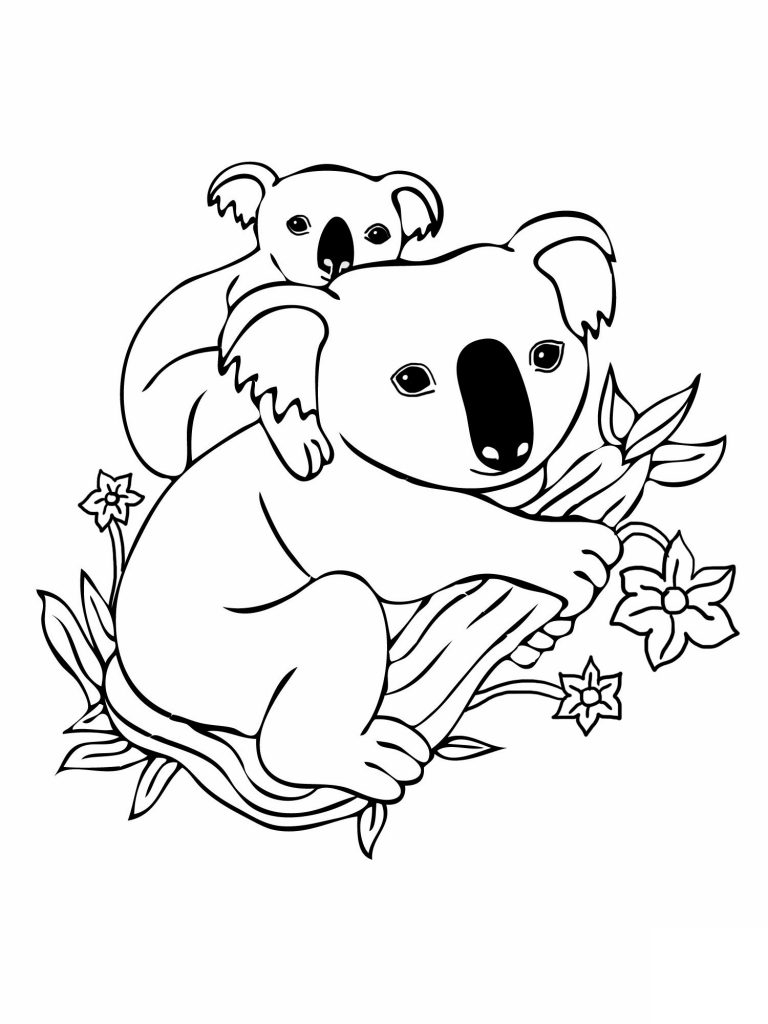 Free Printable Koala Coloring Pages For Kids Free Printable Koala Coloring Pages For Kids
