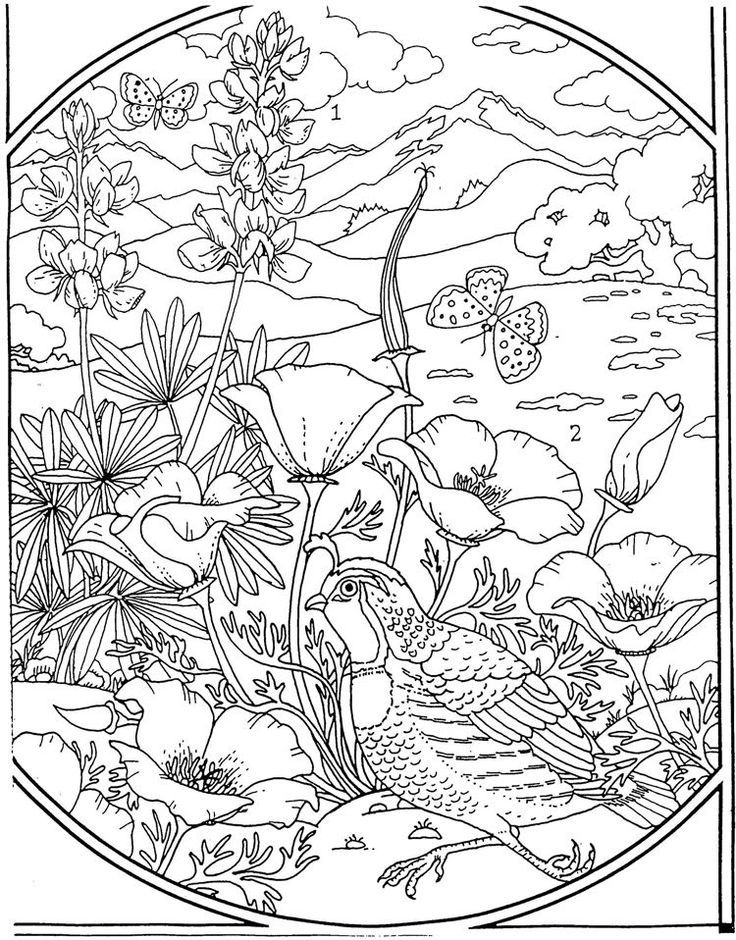 Free Printable Landscape Coloring Pages For Adults At GetColorings Free Printable Landscape Coloring Pages For Adults At GetColorings