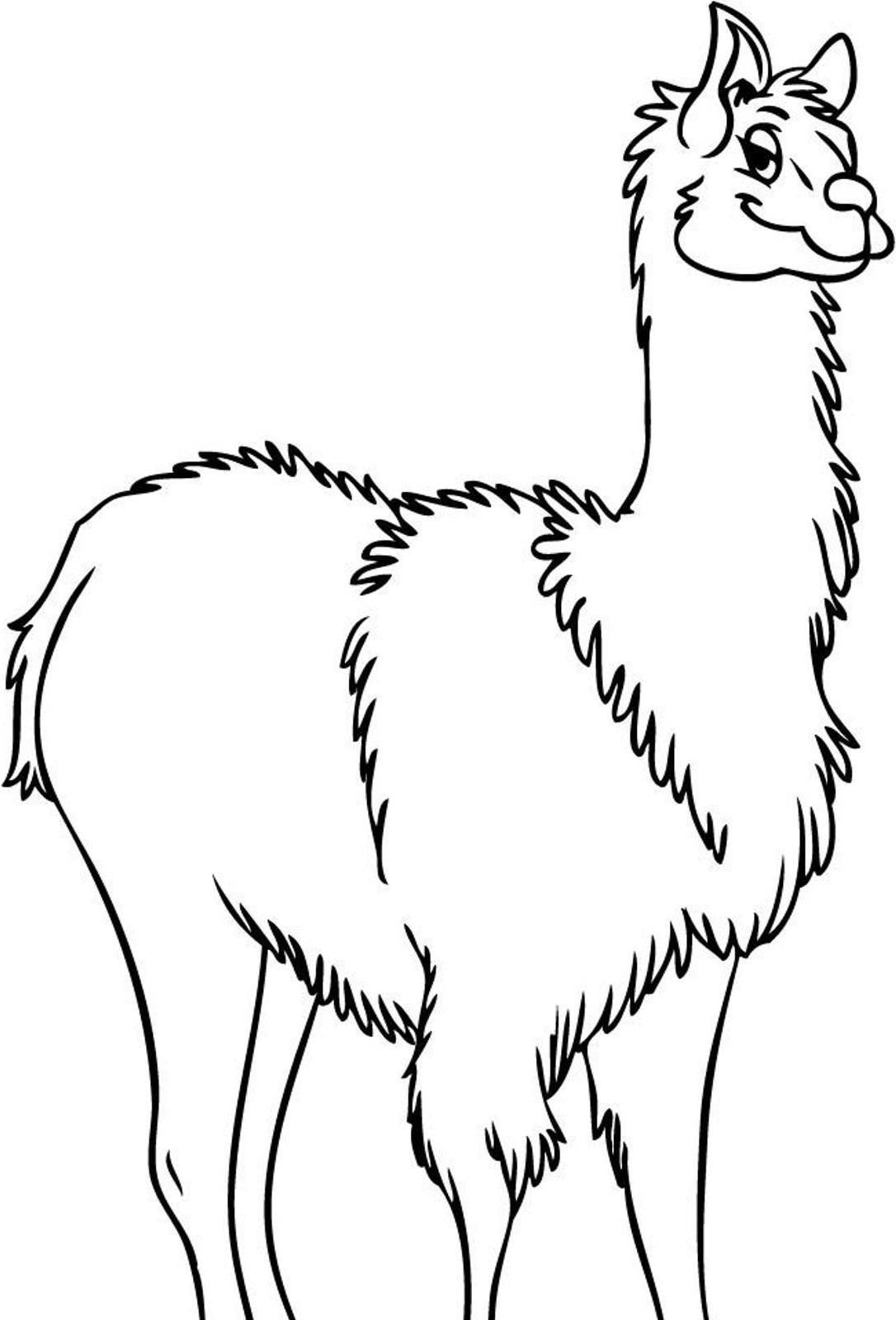 Printable Llama Coloring Pages Printable Llama Coloring Pages