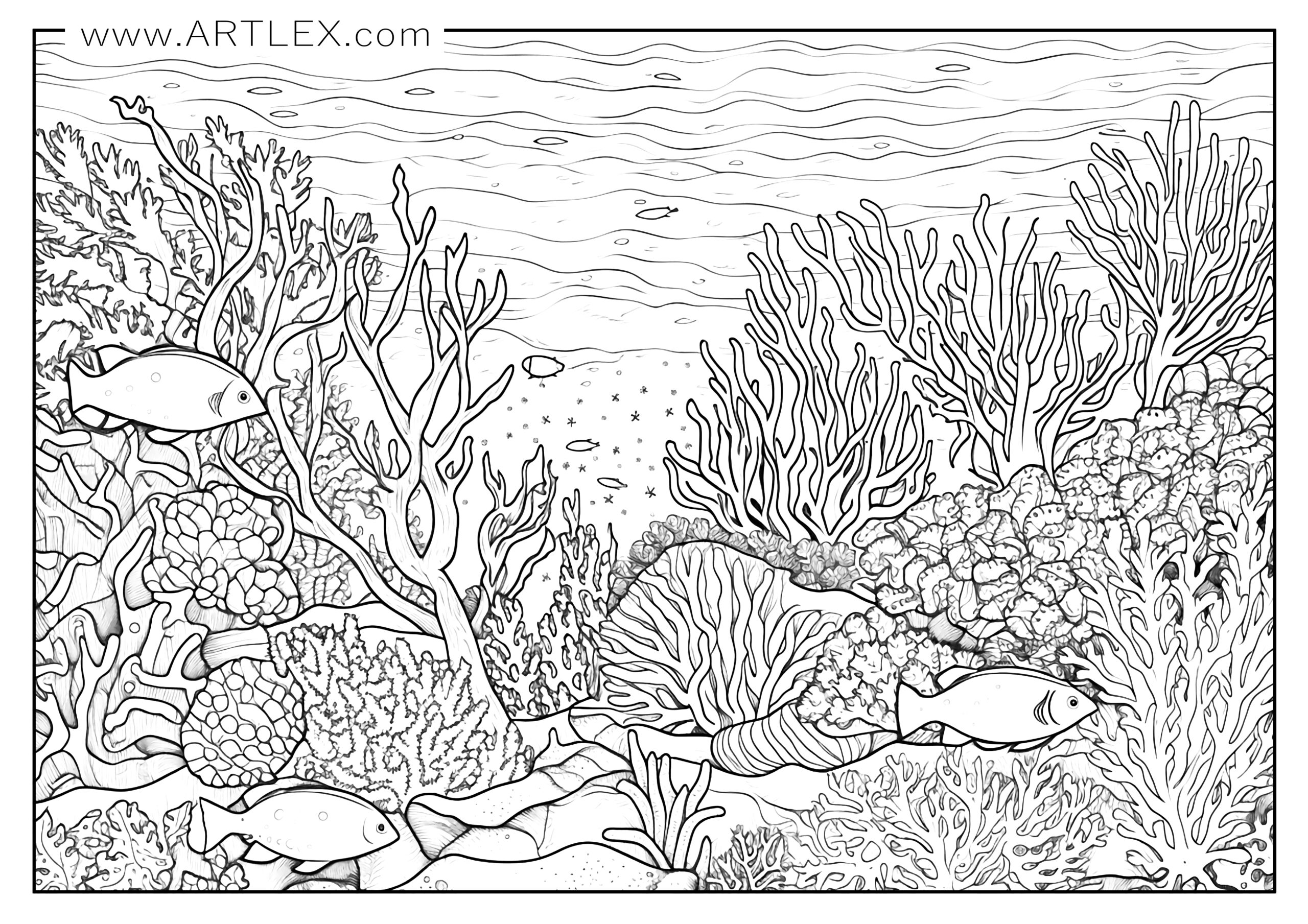 Free Printable Ocean Coloring Pages For Kids Printable Coloring Pages Free Printable Ocean Coloring Pages For Kids Printable Coloring Pages