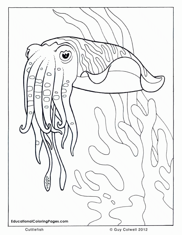 Free Printable Ocean Life Coloring Pages Coloring Home Free Printable Ocean Life Coloring Pages Coloring Home