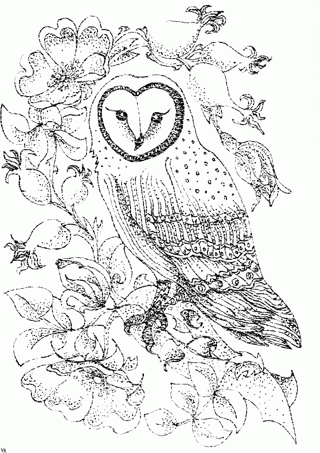 Free Printable Owl Coloring Pages For Kids