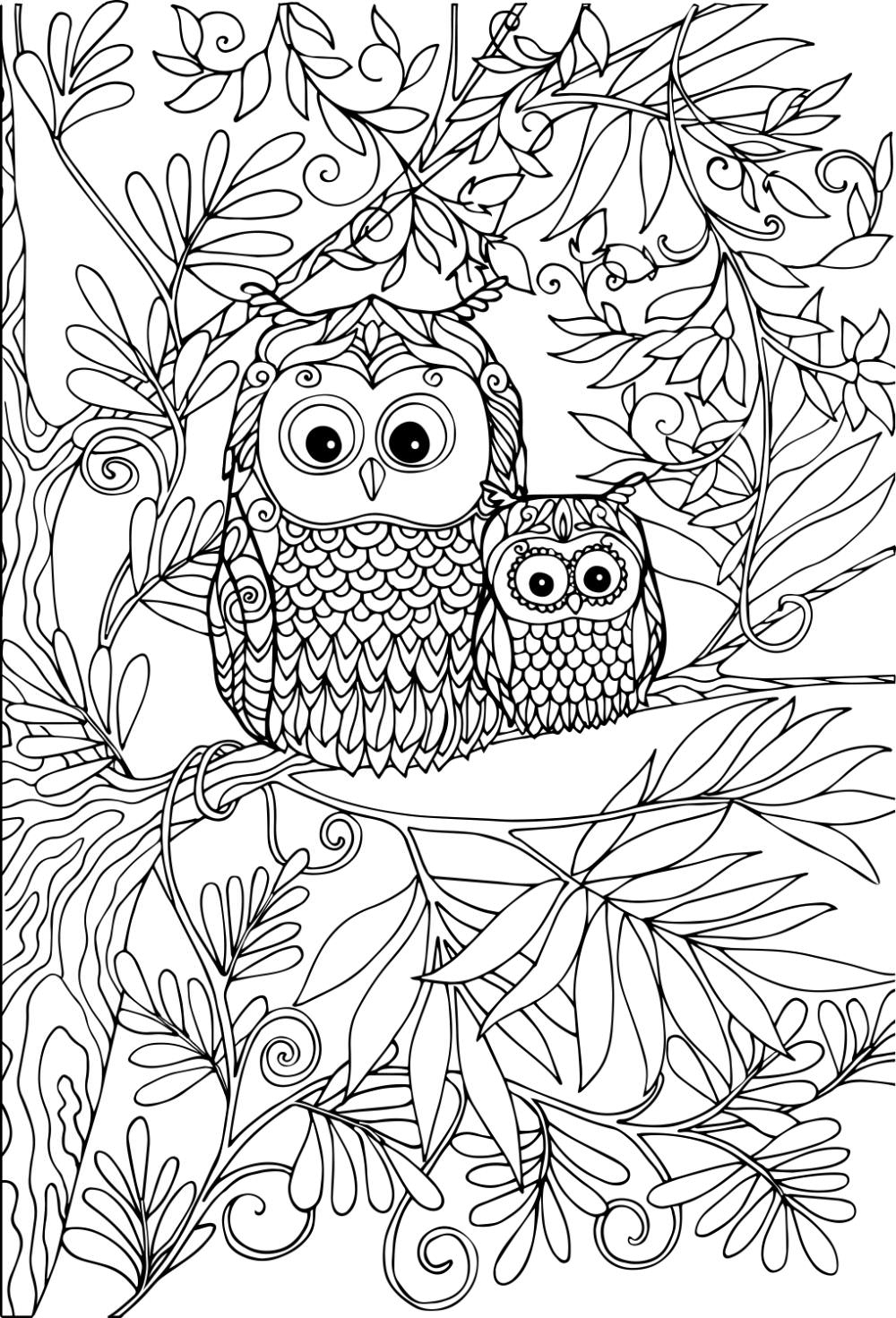 Free Printable Owls Free Printable Owls