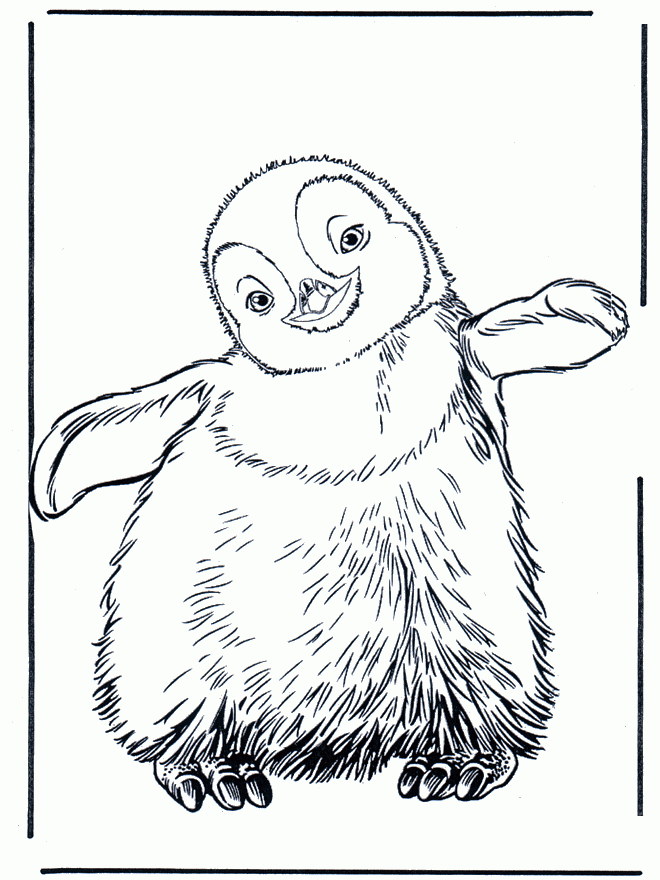 Free Printable Penguin Coloring Pages For Kids Free Printable Penguin Coloring Pages For Kids