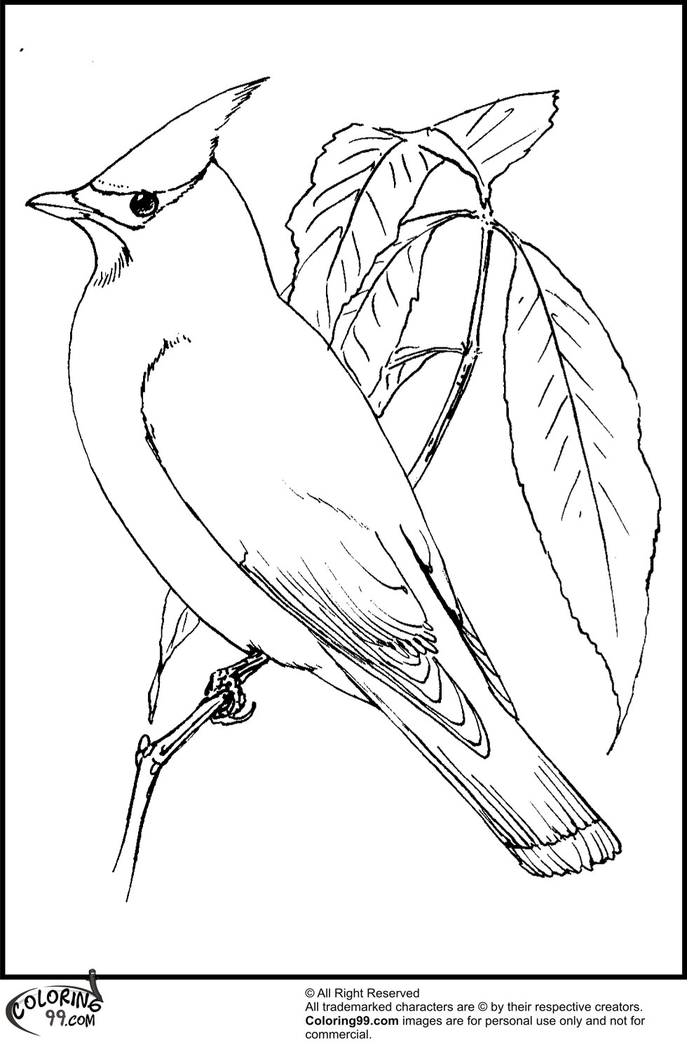 Free Printable Pictures Of Cardinal Birds Printable Word Searches