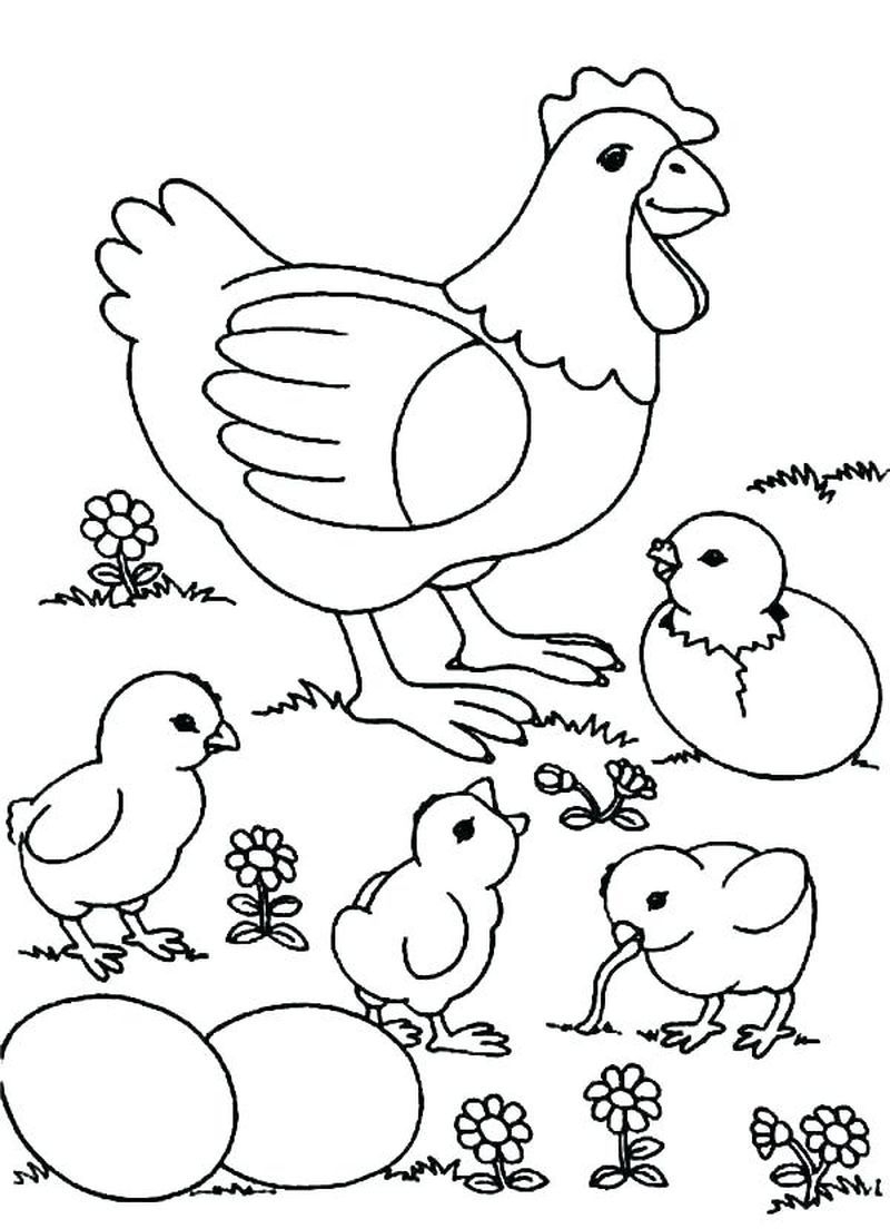 Free Printable Pictures Of Chickens James T Hart Free Printable Pictures Of Chickens James T Hart