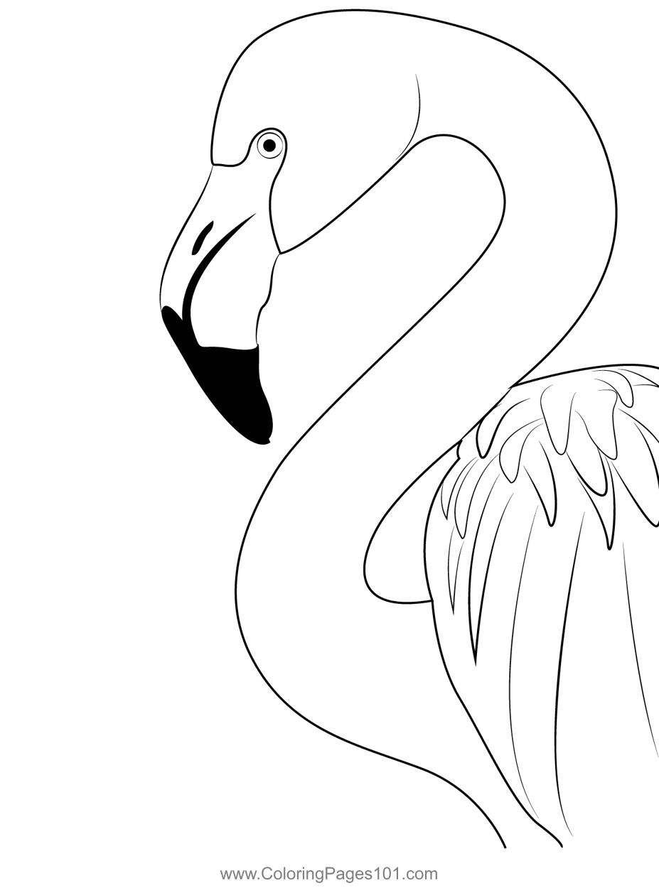 Free Printable Pink Flamingo Coloring Pages Coloring Pages
