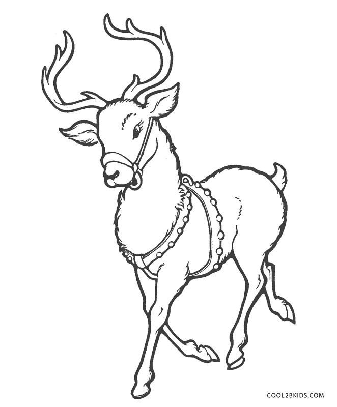 Free Printable Reindeer Coloring Pages For Kids Free Printable Reindeer Coloring Pages For Kids