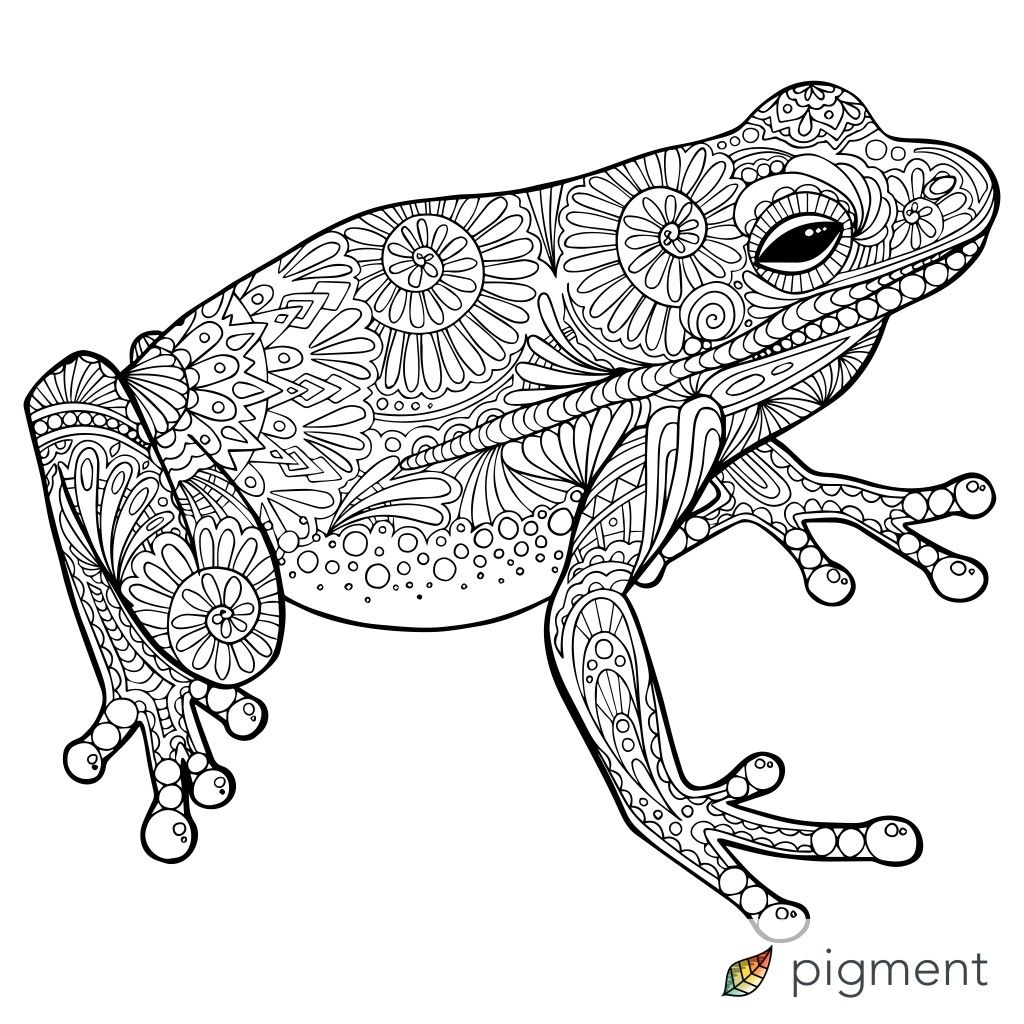 Free Printable Reptile Coloring Pages