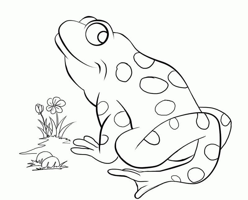 Printable Reptile Coloring Pages