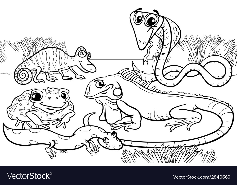 Free Printable Reptile Coloring Pages
