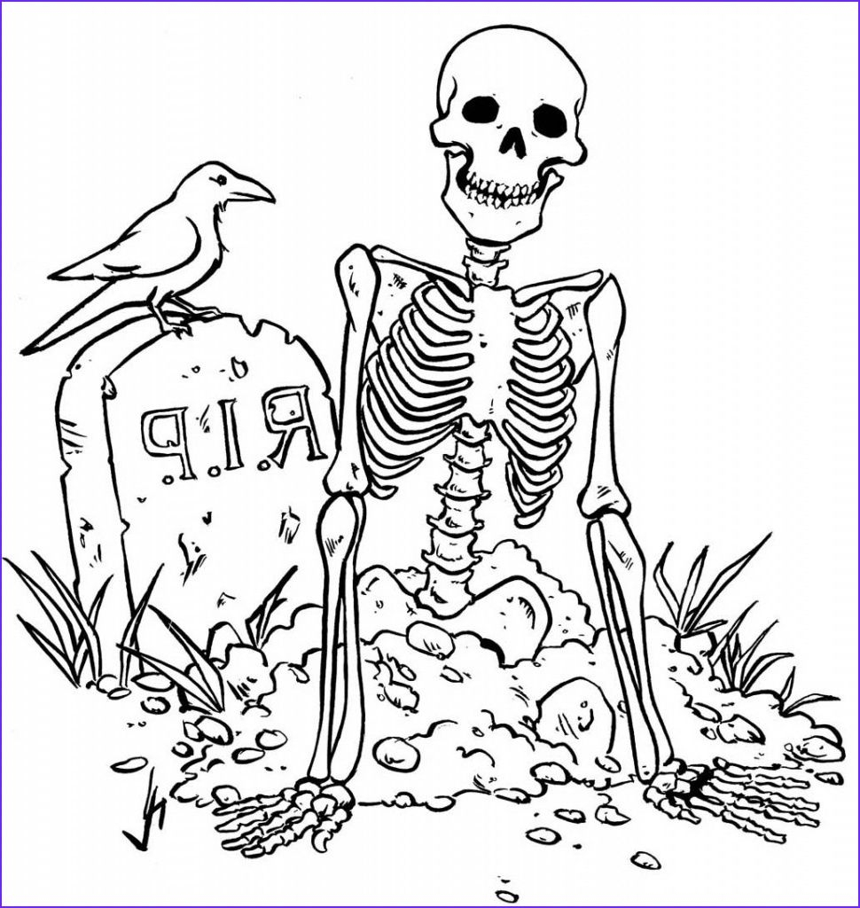 Free Printable Skeleton Coloring Pages Free Printable Skeleton Coloring Pages
