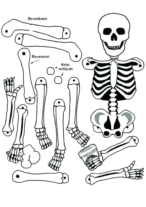 Free Printable Skeleton Free Printable Skeleton