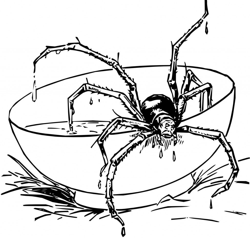 Free Printable Spider Coloring Pages For Kids Kids Printable Coloring Free Printable Spider Coloring Pages For Kids Kids Printable Coloring