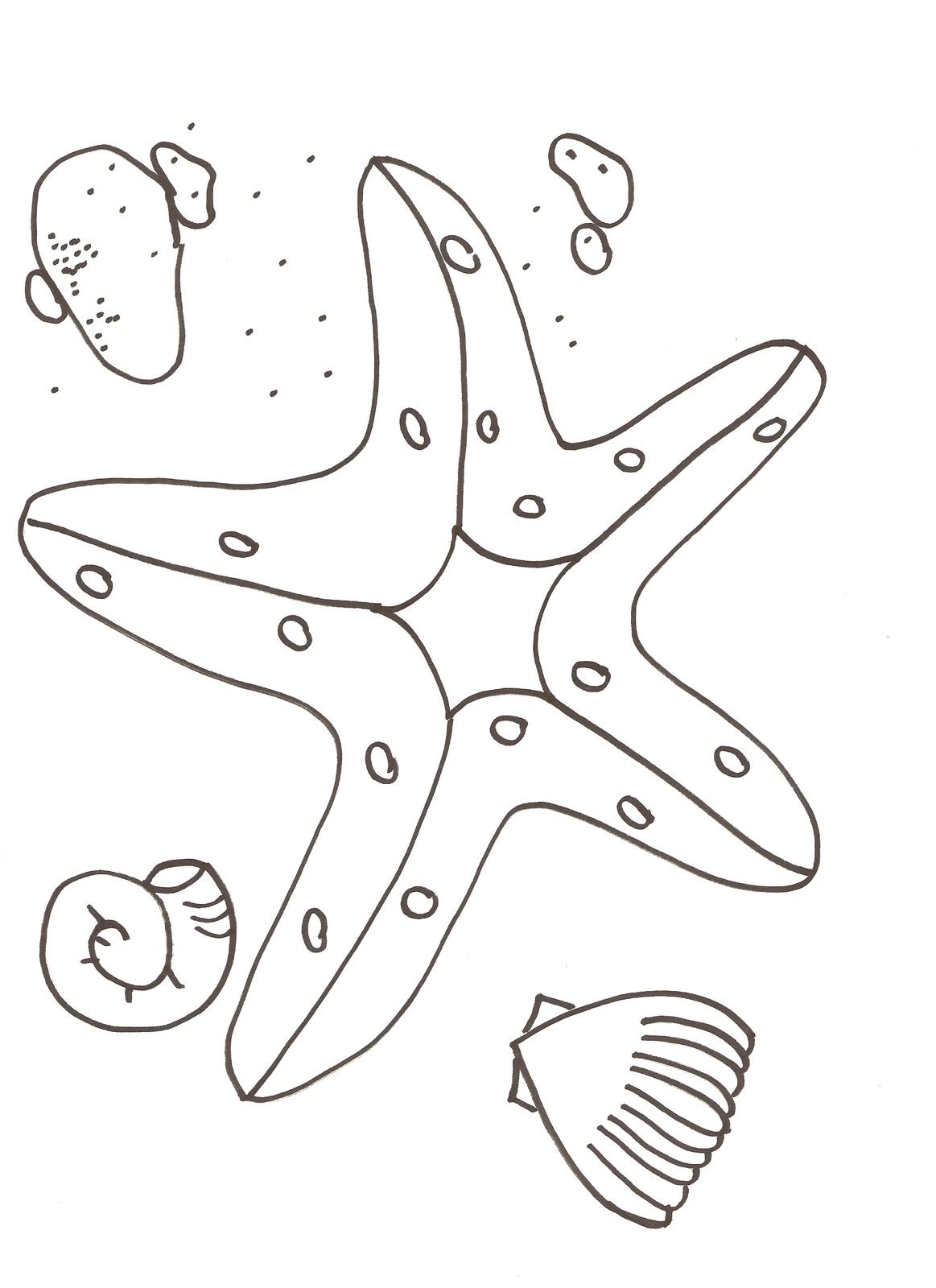 Free Printable Starfish Coloring Pages For Kids Free Printable Starfish Coloring Pages For Kids