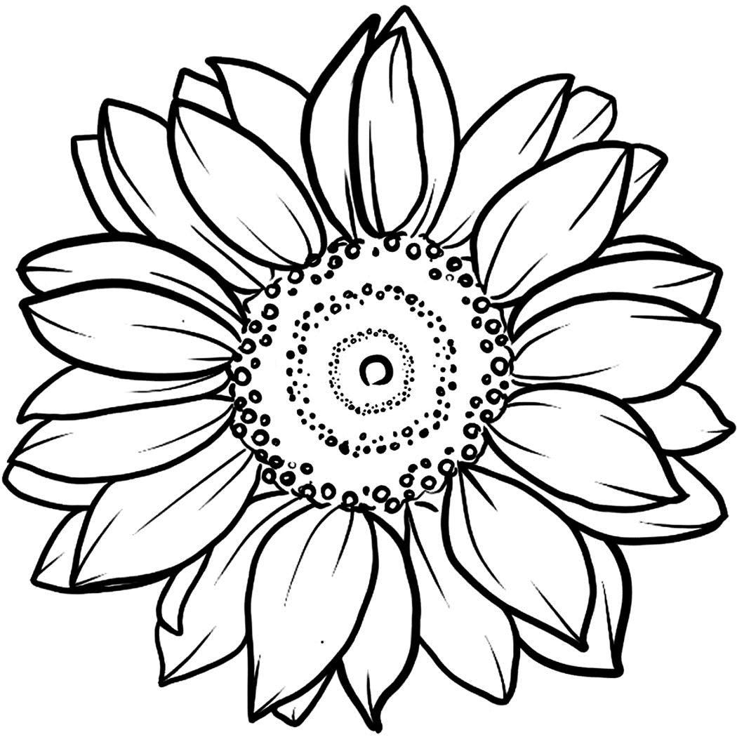 Free Printable Sunflower Coloring Pages