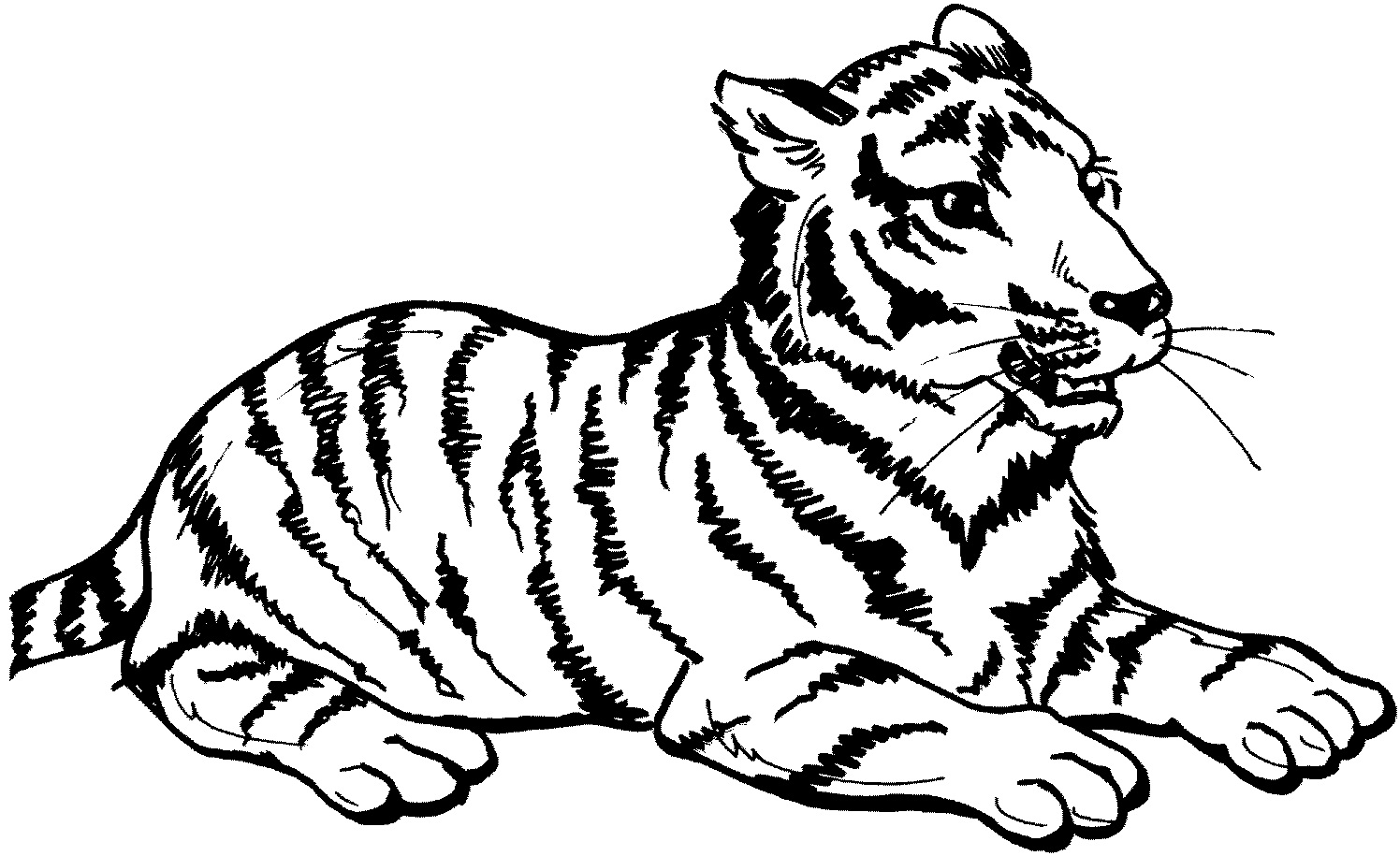 Free Printable Tiger Coloring Pages For Kids Animal Place Free Printable Tiger Coloring Pages For Kids Animal Place