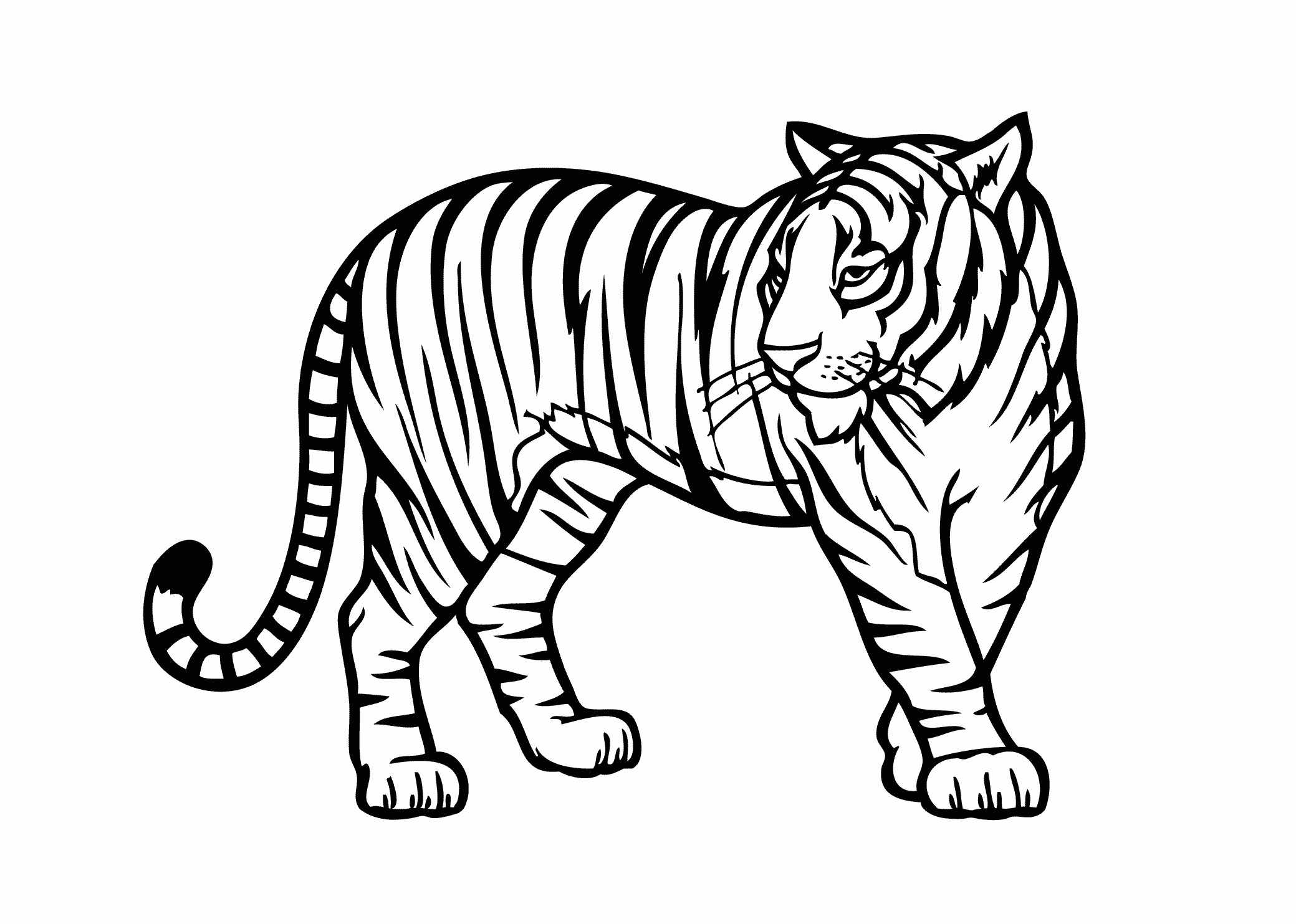 Free Printable Tiger Coloring Pages Free Printable Tiger Coloring Pages