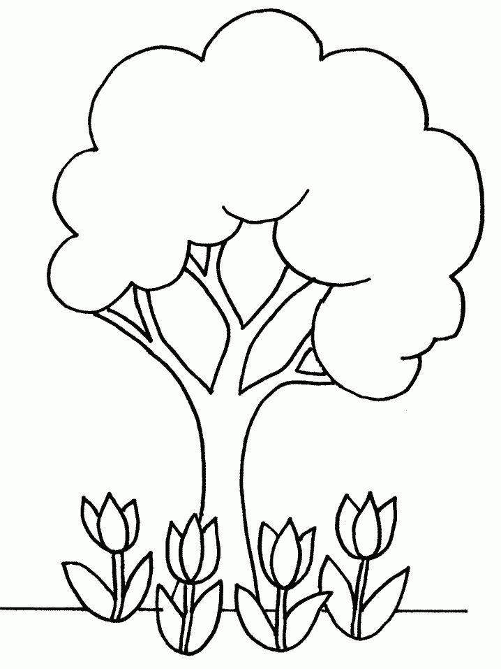 Free Printable Tree Coloring Pages For Kids Free Printable Tree Coloring Pages For Kids