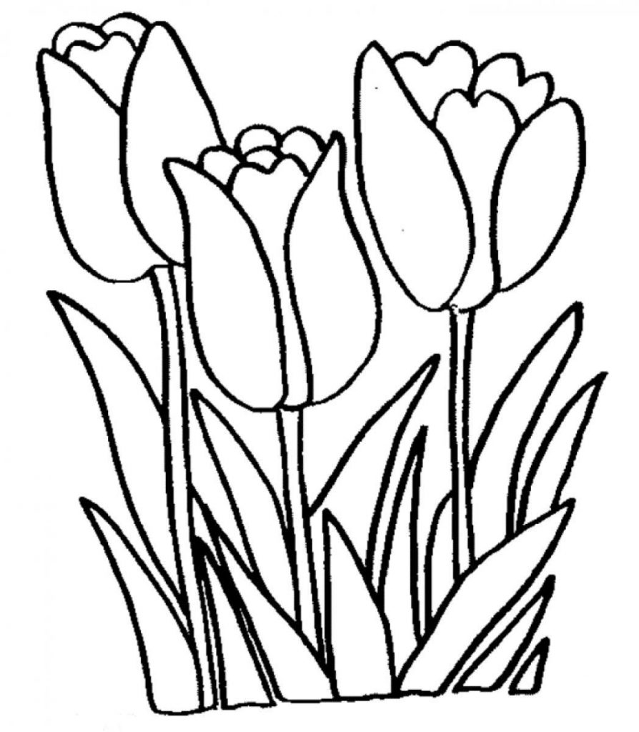 Free Printable Tulip Coloring Pages Printable World Holiday Free Printable Tulip Coloring Pages Printable World Holiday
