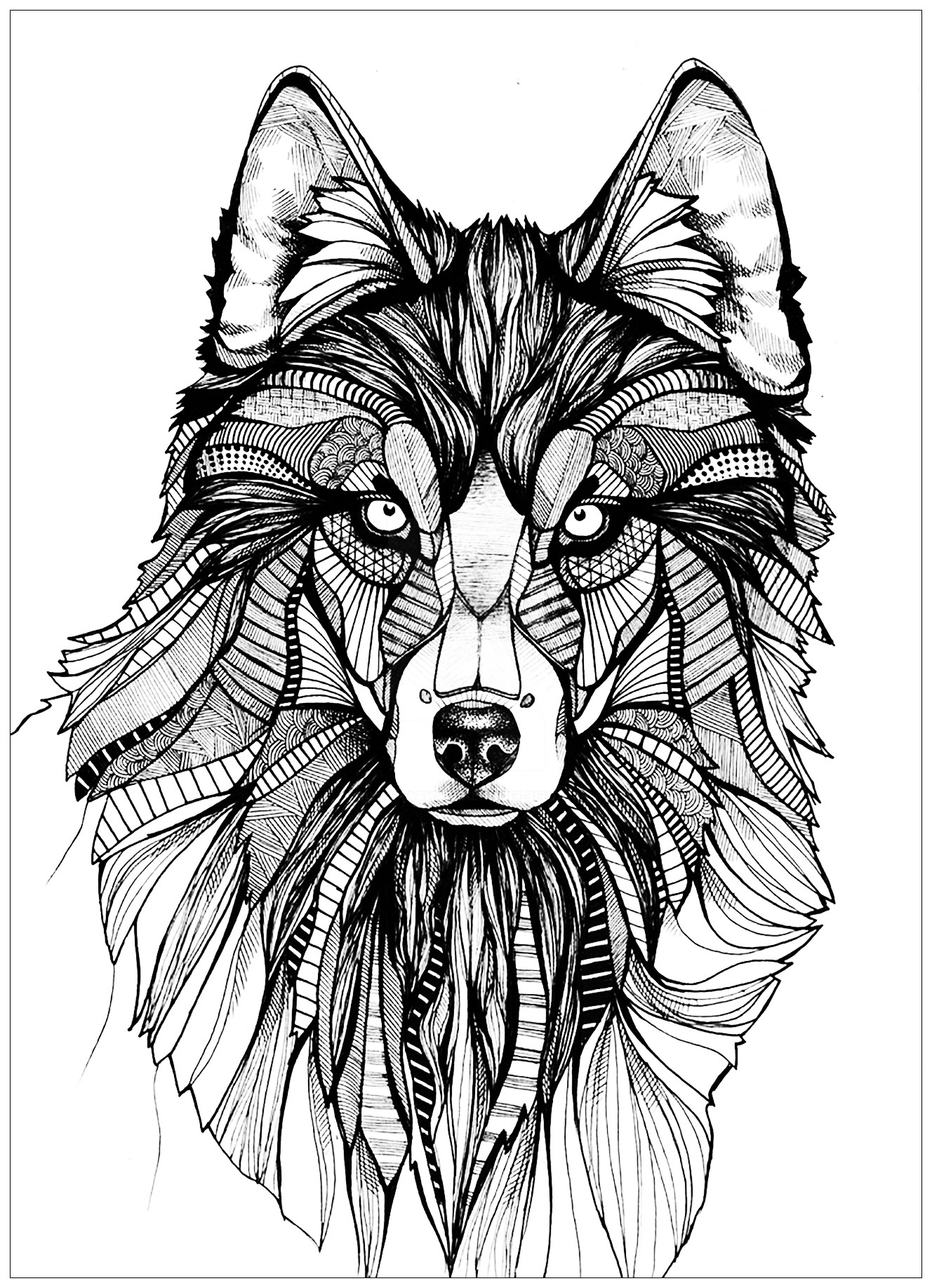 Free Printable Wolf Coloring Pages Free Printable Wolf Coloring Pages