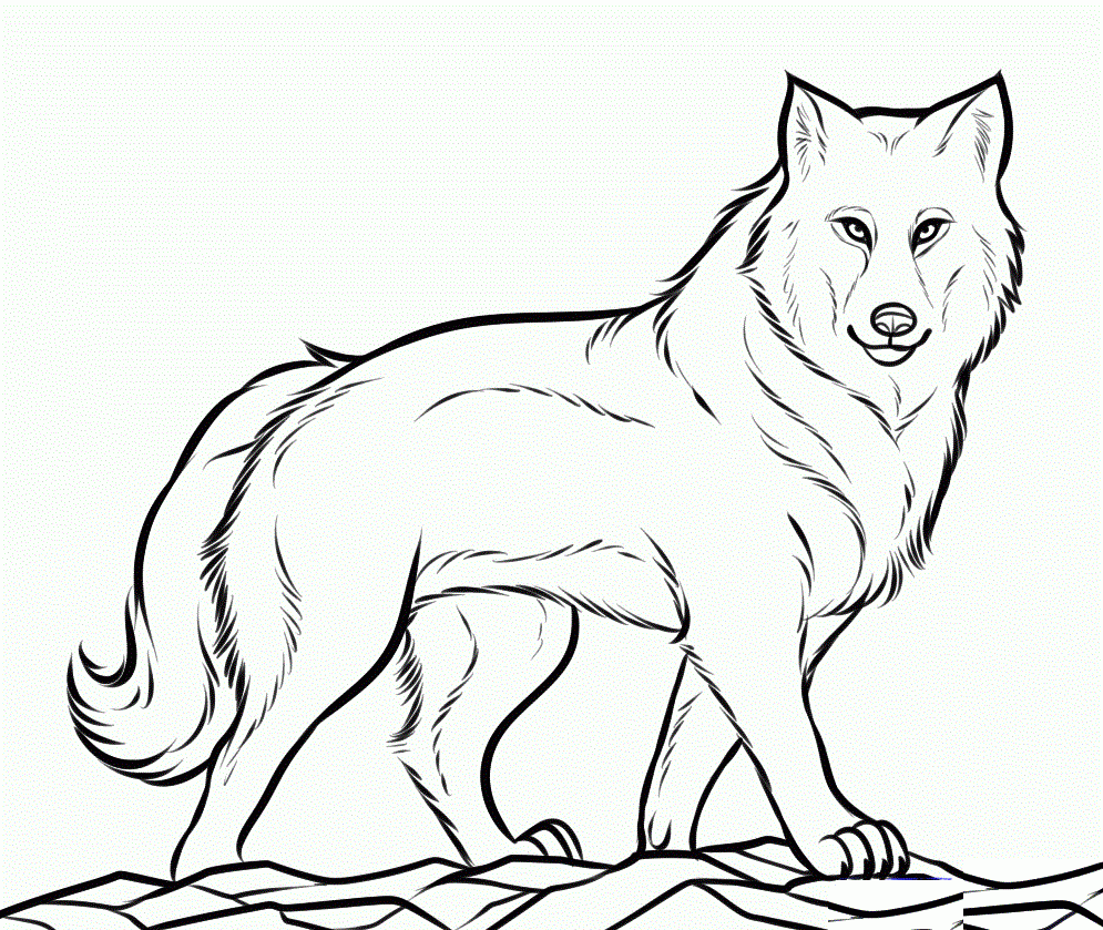 Wolf Coloring Pages Printable Wolf Coloring Pages Printable