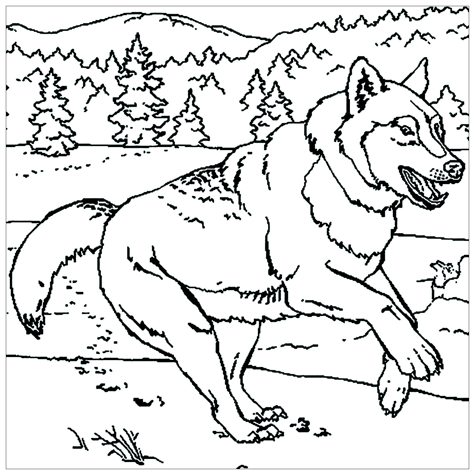 Free Printable Wolf Coloring Pages Free Printable Wolf Coloring Pages