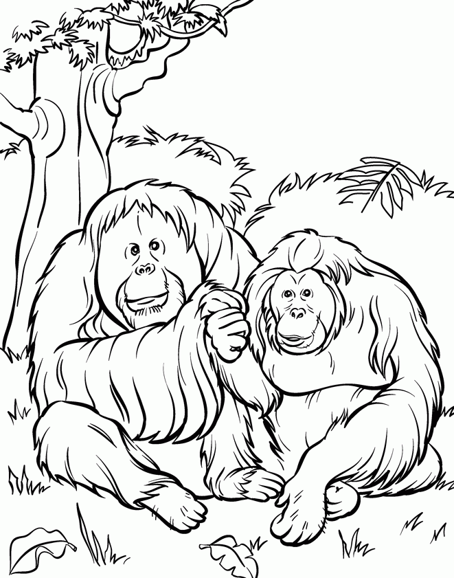 Free Printable Zoo Animal Coloring Pages