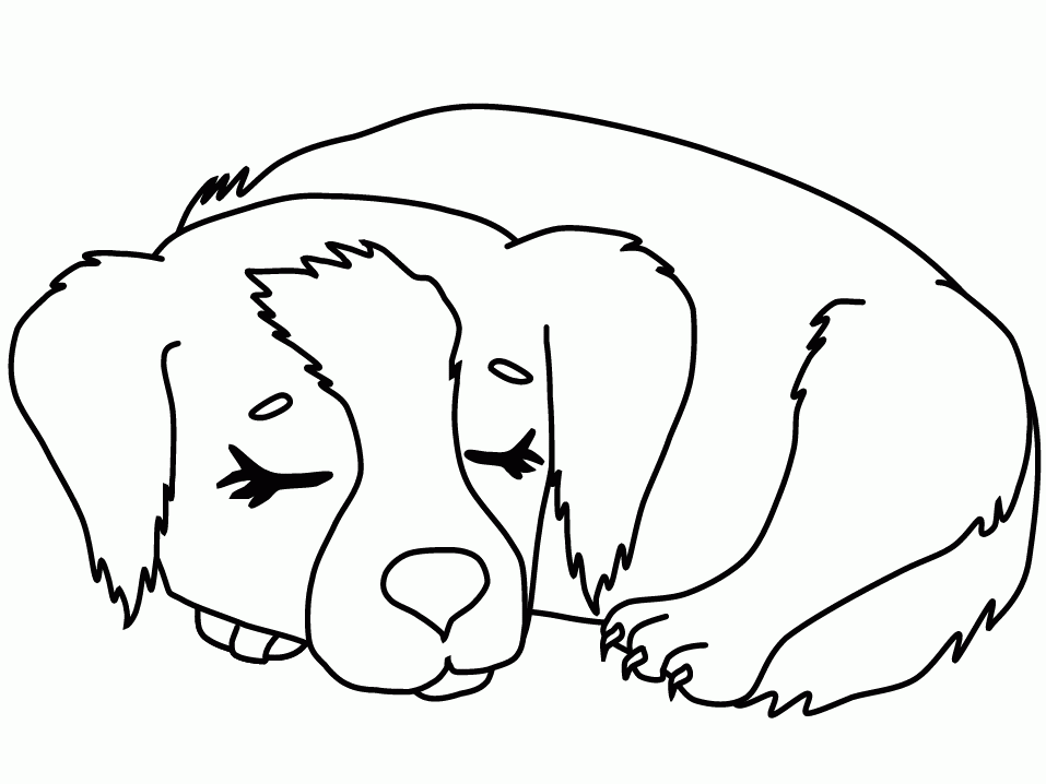 Free Realistic Puppy Coloring Pages Download Free Realistic Puppy Free Realistic Puppy Coloring Pages Download Free Realistic Puppy