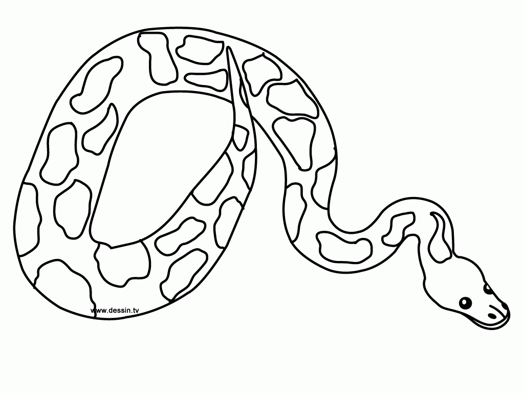 Free Snake Printable Coloring Pages Download Free Snake Printable Free Snake Printable Coloring Pages Download Free Snake Printable